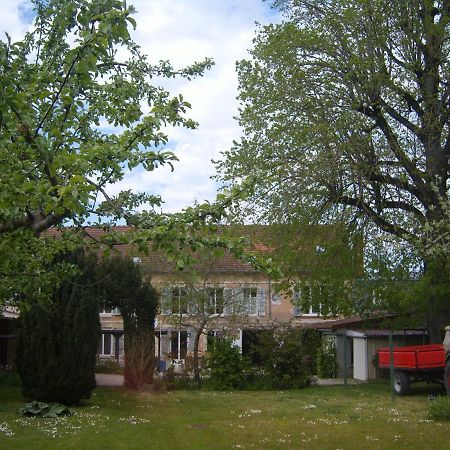 Gite Du Vieux Tilleul Fère-en-Tardenois Exteriér fotografie