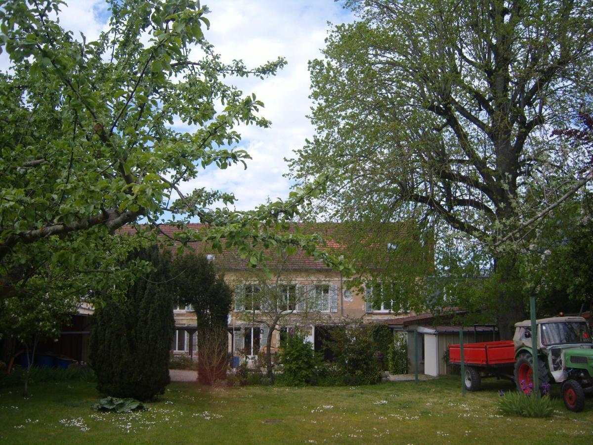 Gite Du Vieux Tilleul Fère-en-Tardenois Exteriér fotografie