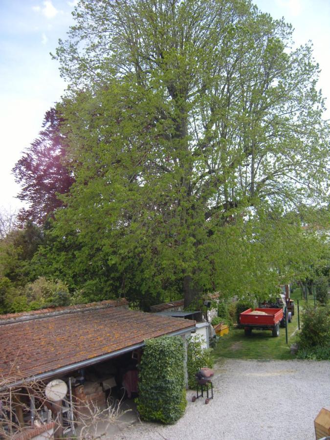Gite Du Vieux Tilleul Fère-en-Tardenois Exteriér fotografie